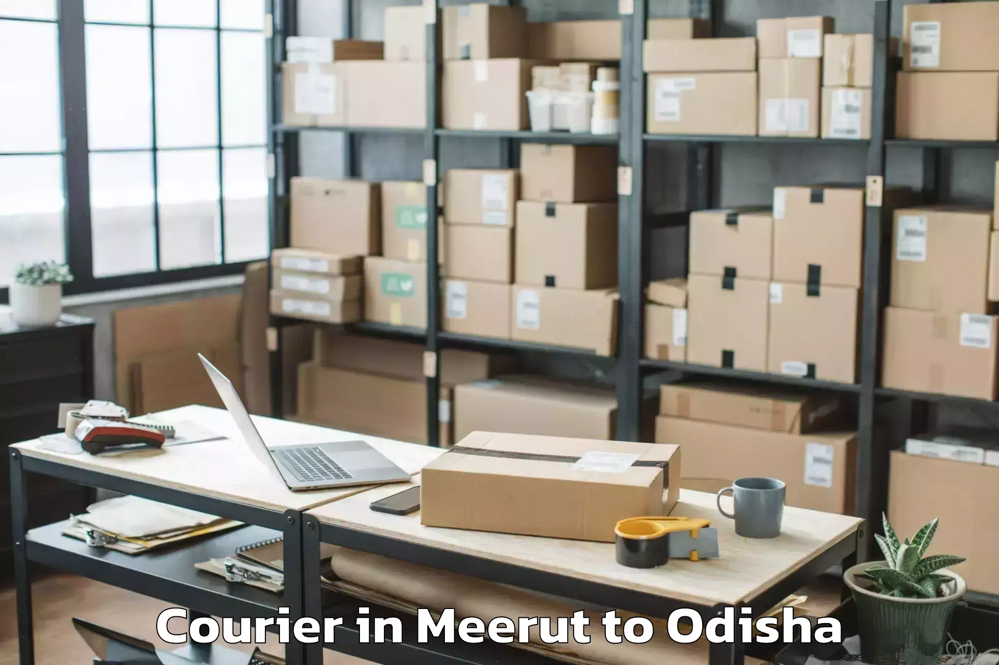 Top Meerut to Odagaon Courier Available